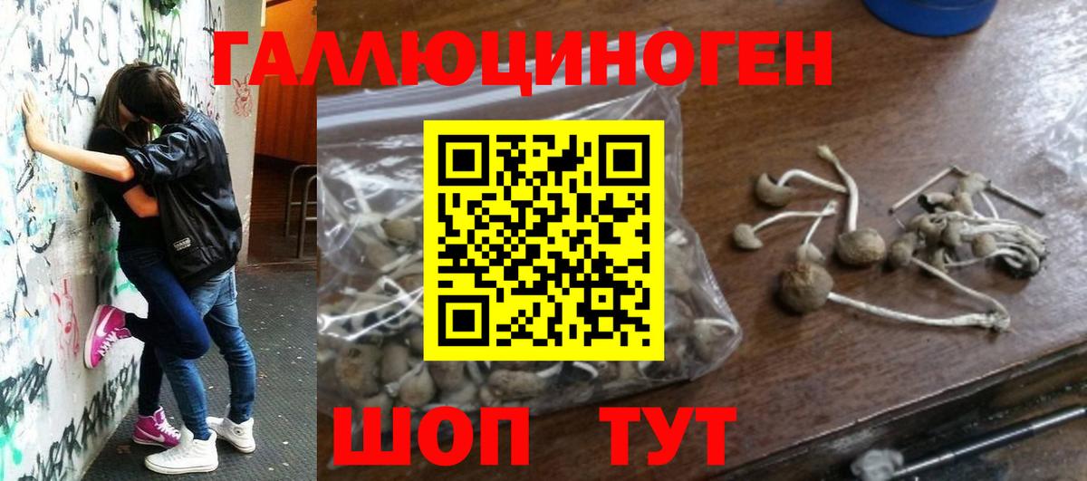 Галлюциногенные грибы прущие грибы Кировск