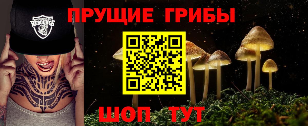 Псилоцибиновые грибы MAGIC MUSHROOMS  Вход с VPN  Кировск  Псилоцибиновые грибы Magic Shrooms 